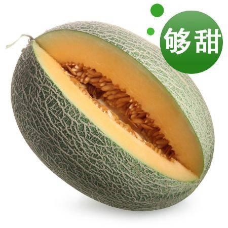 海南今日哈密瓜价