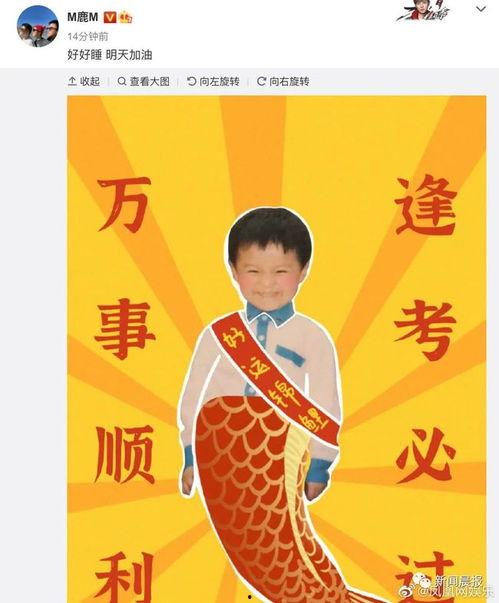 明星网红店翻车即兴评述,明星效应下的品牌危机
