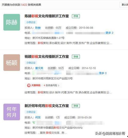 明星网红罚税明细查询,税务监管下的娱乐圈新风向
