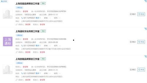 明星网红罚税明细查询,税务监管下的娱乐圈新风向