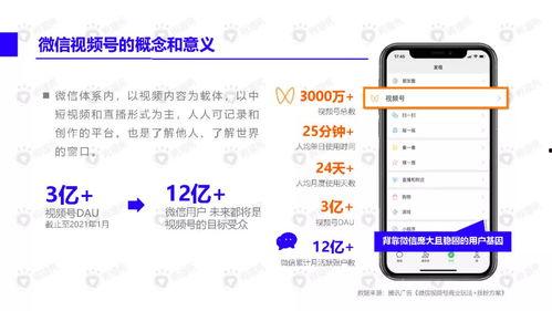 网红和明星网易视频下载,网易视频下载热门瞬间