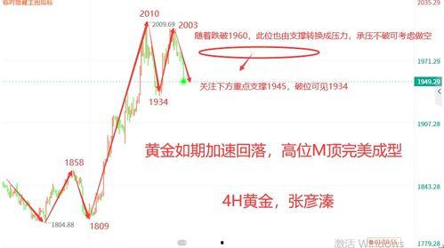 今日吊瓜行情走势分析,洞察今日吊瓜价格走势