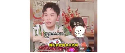 明星网红逃税事件名单曝光,娱乐圈税务问题引发热议