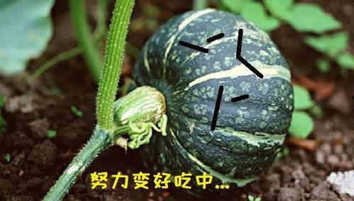 今日吃瓜吃最新最真的瓜,真相大白，网友热议不断