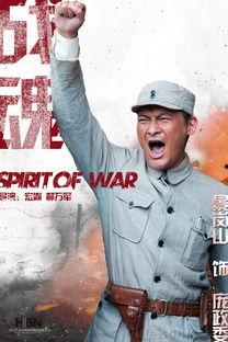 战魂电视剧,烽火岁月里的英雄传奇
