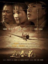 迎春花电视剧,岁月如歌，青春无悔