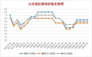 山东今日茭瓜价格行情走势