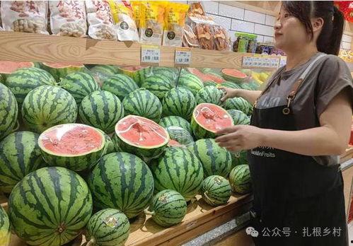 今日瓜价格最新报价,今日瓜价格最新报价一览”
