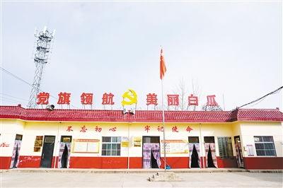 白瓜村今日新闻,丰收喜悦与乡村振兴新篇章