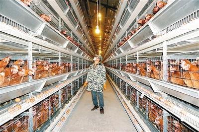 白瓜村今日新闻,丰收喜悦与乡村振兴新篇章