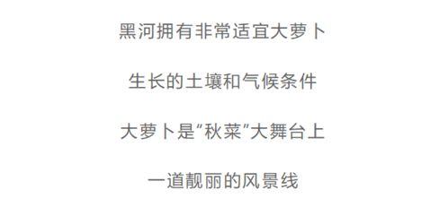 今日份麻瓜生活说说文案