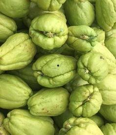 信阳今日佛手瓜批发,今日行情动态一览