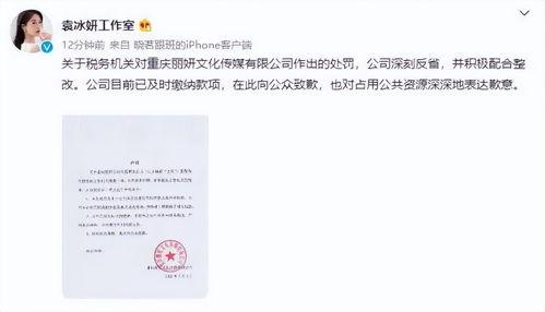 明星网红公司被罚款多少,金额高达XXX万元！”