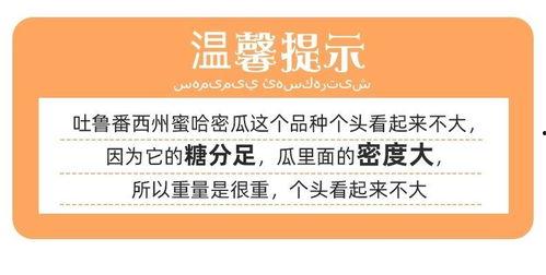 今日网纹瓜批发价格表,市场行情一览