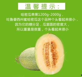 今日网纹瓜批发价格表,市场行情一览