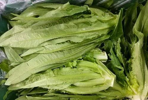 平顶山茄瓜今日价格,价格行情一览”