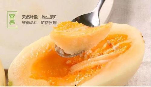 今日台州东方蜜瓜价格,价格行情一览