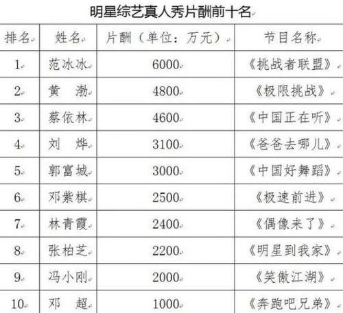 如何限制明星网红的片酬,平衡市场与道德的探索之路