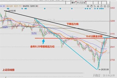 瓠瓜今日行情走势最新,今日走势解析与展望