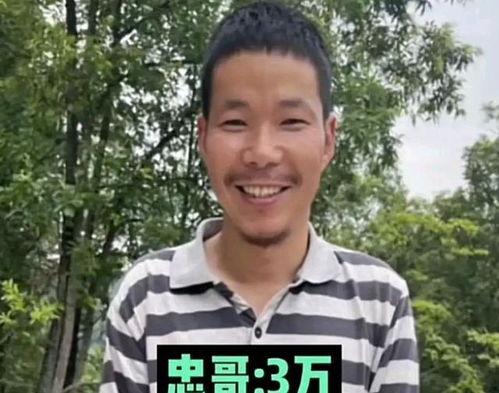 哪些明星网红为河北捐款,河北捐款行动中的明星网红力量”