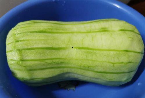 秋瓜今日价格,丰收季节的甜蜜行情解析