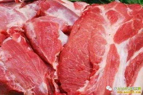 瓜州今日牛羊肉价格,实惠之选，品质生活新体验