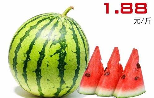 陕西小吊瓜今日价格表及图片,今日新鲜价格一览，视觉体验尽收眼底
