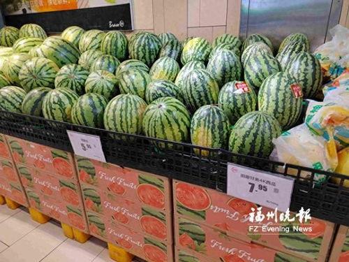 许昌市吊瓜今日行情,价格波动与市场动态一览