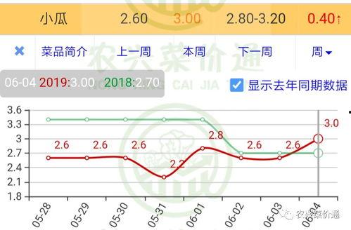今日小瓜走势分析最新,洞察今日走势，揭秘未来趋势