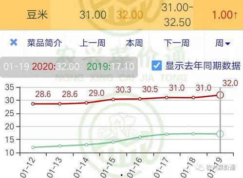 今日小瓜走势分析最新,洞察今日走势，揭秘未来趋势