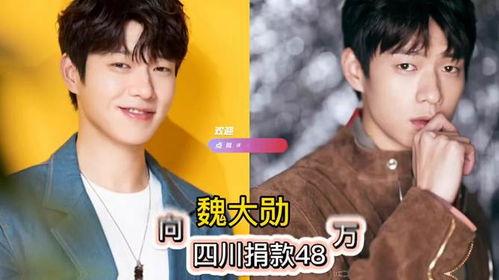 明星网红捐钱名单图片高清,捐钱名单背后的温暖力量