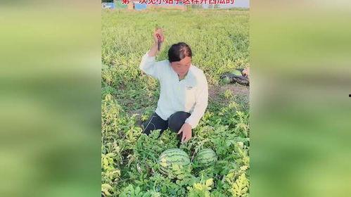 瓜嫂今日吃瓜,揭秘娱乐圈最新热点事件