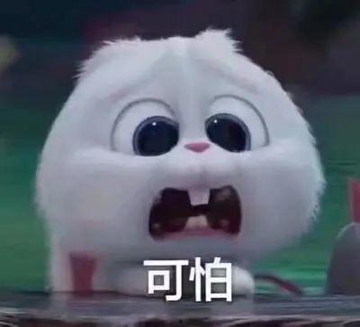 惠州今日吃瓜事件真相揭秘,真相大白，还原事件始末