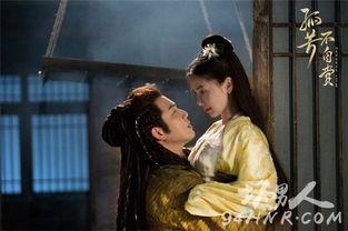 孤芳不自赏电视剧,宫廷权谋与爱情纠葛的华丽演绎