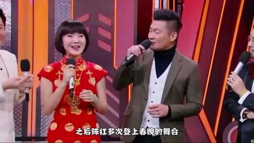 春晚明星网红有谁参加过,璀璨星光闪耀舞台