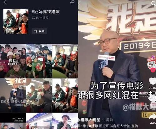明星网红界限模糊的原因,时代变迁下的娱乐生态演变
