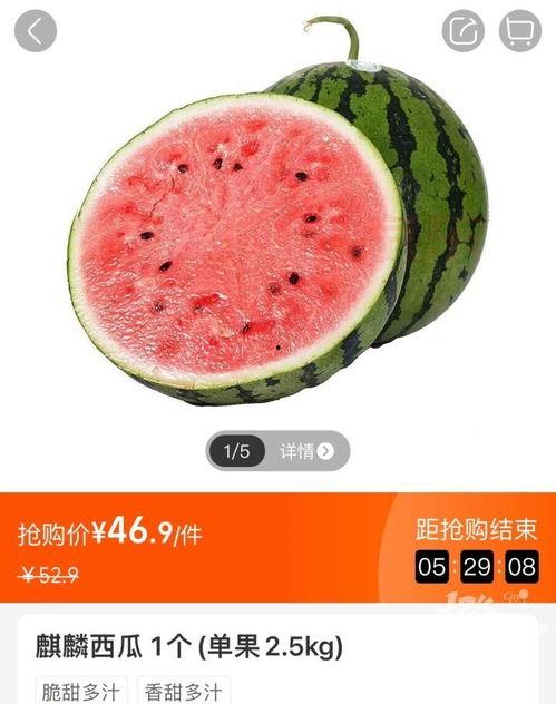 小吊瓜今日行情价格查询,价格波动解析与市场趋势洞察”