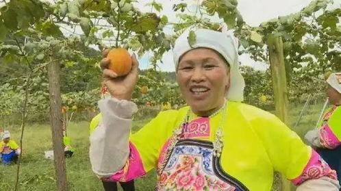 吊瓜今日行情,涨跌波动，市场动态一览