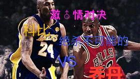 挑战全明星网红有哪些,揭秘网红圈层的热血竞技盛宴
