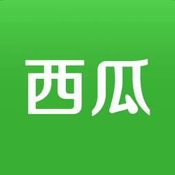 新月大瓜今日头条,新月大瓜今日头条，热点事件深度解析