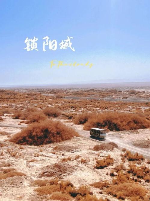 今日去瓜州旅游好玩吗,探寻丝绸之路上的绝美风光与丰富文化