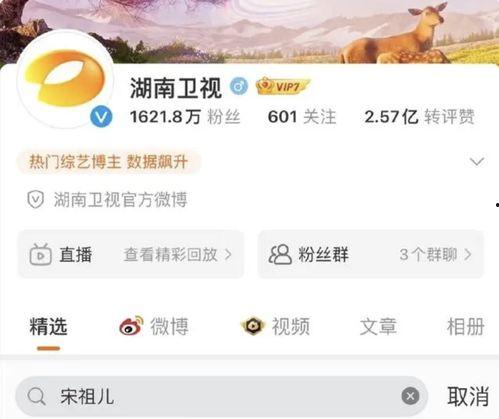 明星网红相继消失的原因,明星网红消失之谜背后的真相