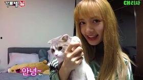Lisa今日吃瓜,娱乐圈新鲜事盘点