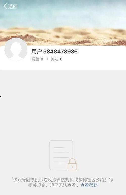 明星网红依法纳税多少亿,展现社会责任与法治精神