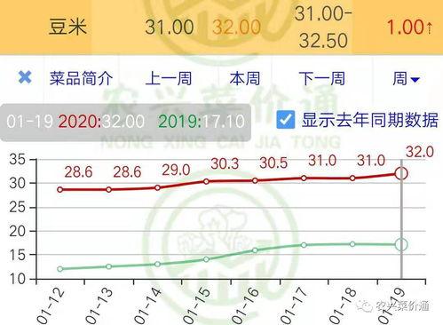 今日茧瓜价格行情走势,今日行情走势解析