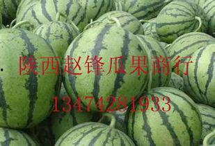 潍坊今日哈密瓜批发价,新鲜上市，价格亲民！”