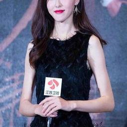 明星网红同款lv开衫,明星效应下的时尚潮流解析