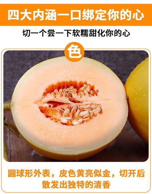 黄河蜜瓜今日批发行情,甜蜜价格波动，市场供需动态解析