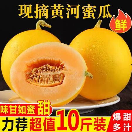 黄河蜜瓜今日批发行情,甜蜜价格波动，市场供需动态解析