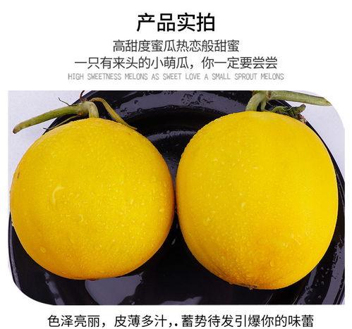 黄河蜜瓜今日批发行情,甜蜜价格波动，市场供需动态解析
